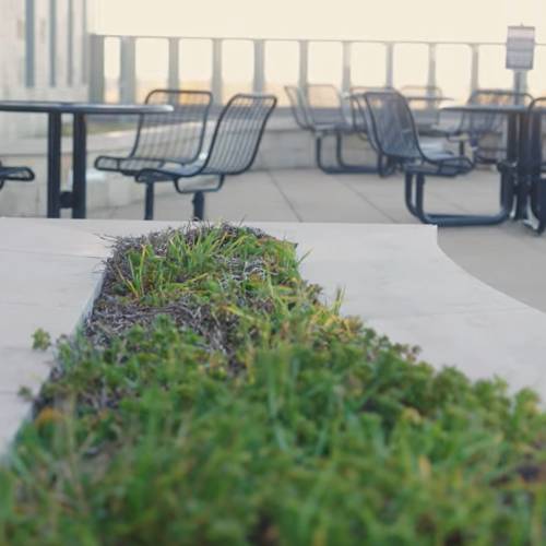 greenery around outdoor sitting area with chairs and picnic tables
